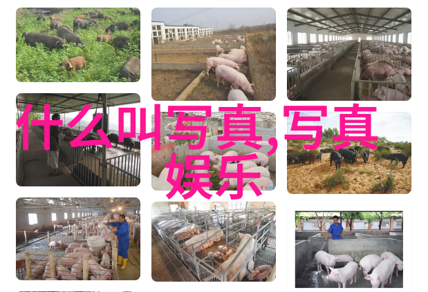 未来可能属于我们的理想国度为什么我们会那么渴望加入呢