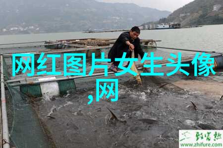 老歌100首经典老歌免费听-回响中的岁月探索百年音轨的魅力