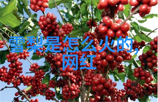 网络时代里的飞行员们如何轻松享受不花钱的视频盛宴