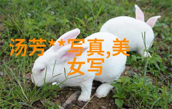 女生微信名真有五个字独一无二的为什么总是那么简单可爱
