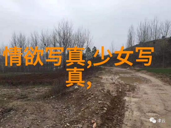 高铁火车票图片大全-穿梭未来高铁火车票图片的艺术与科技