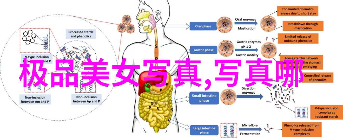 娱乐新闻学今日头条分析与批判