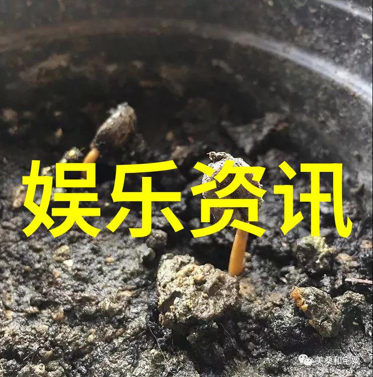 10个鸡爪对一份普通家禽的日常饮食有何影响