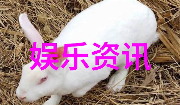在云端飘荡的声音艺术家们分享和创作无边界