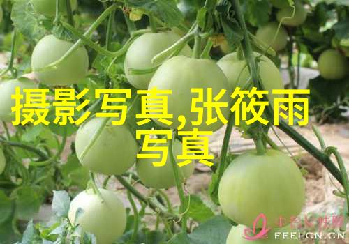 探索女性魅力的艺术美丽与柔和的写真技巧