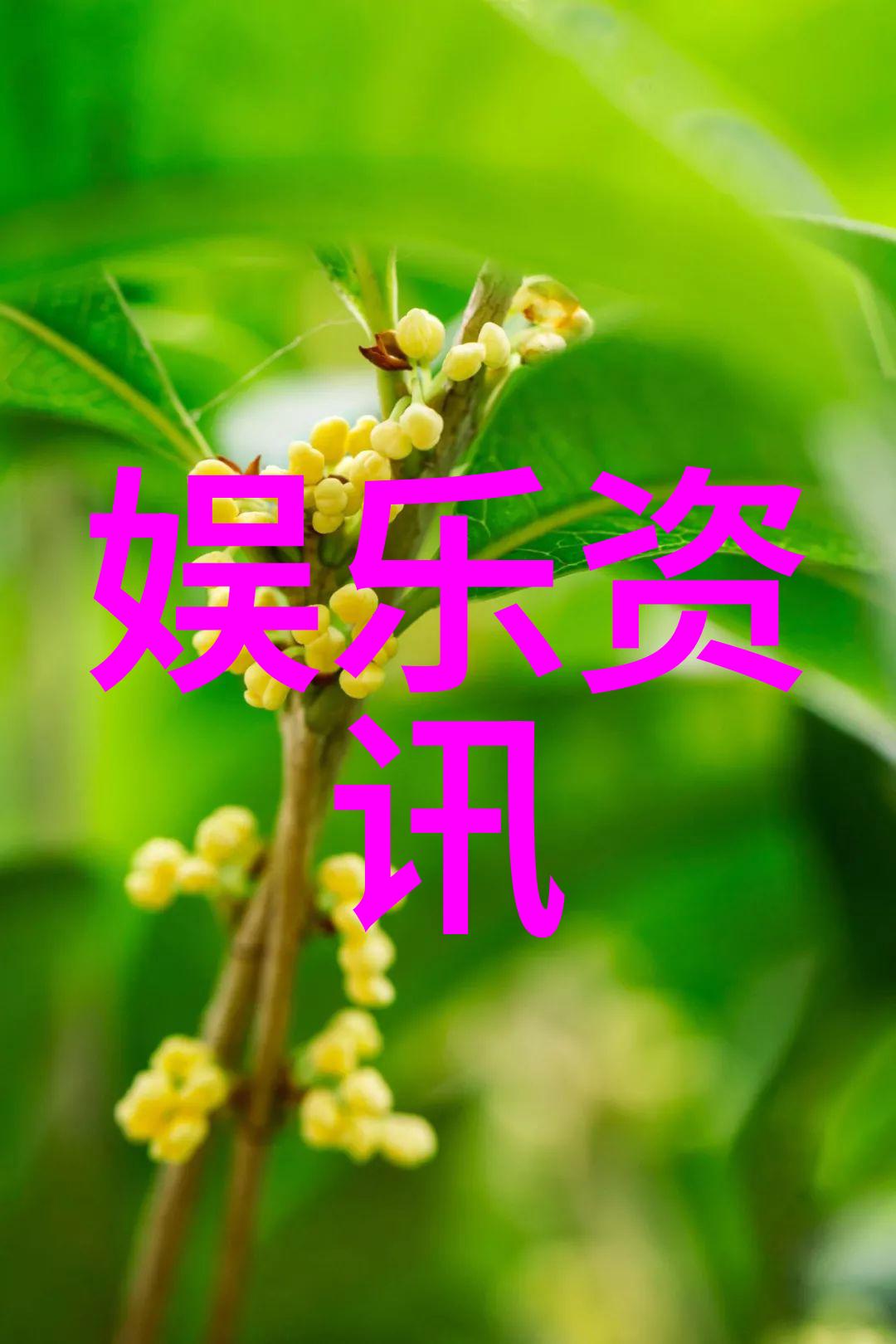 重生香港之娱乐后宫梦回红途