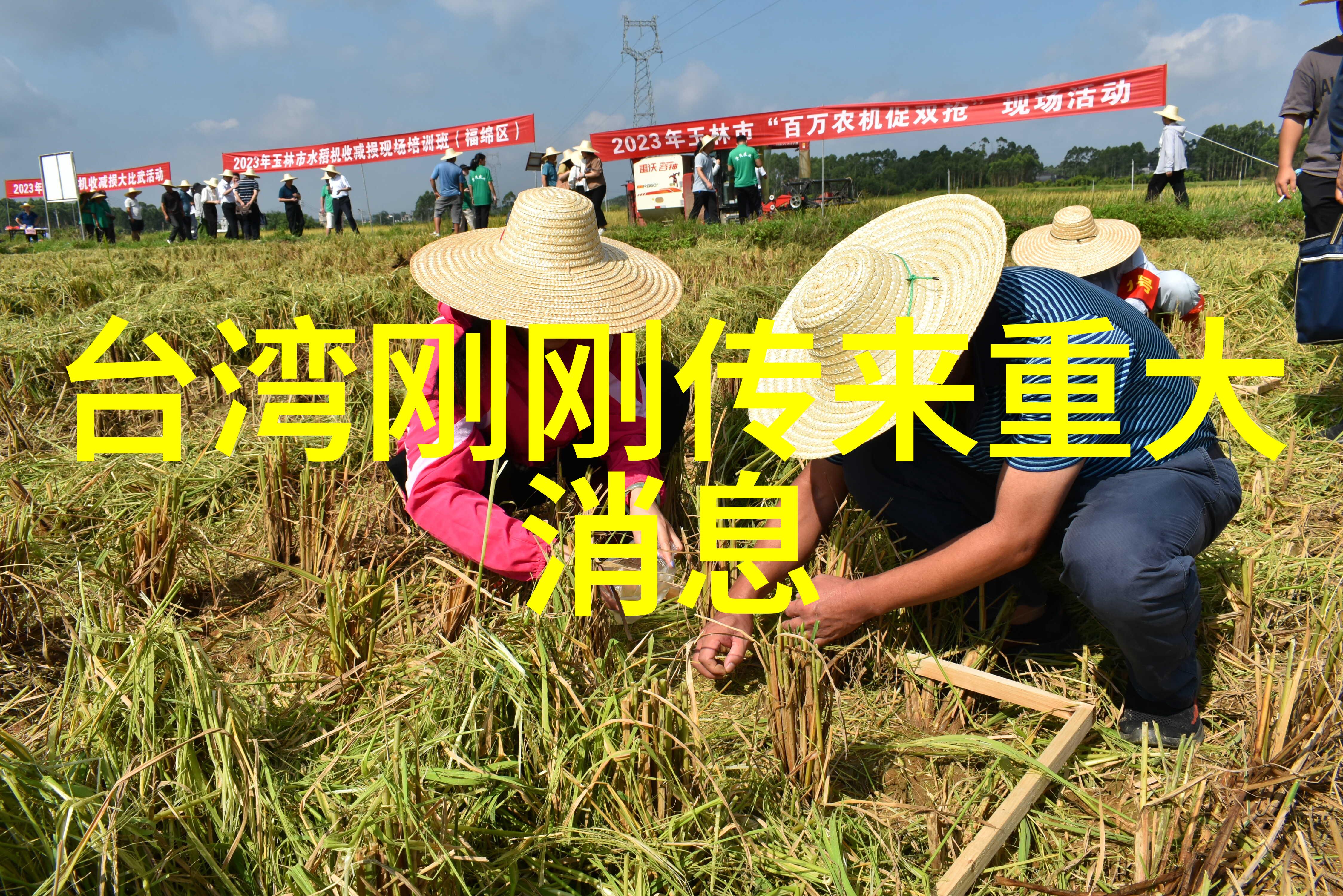 时尚网名揭秘泥膜的双重效用与使用技巧美妆达人为你解答对偶