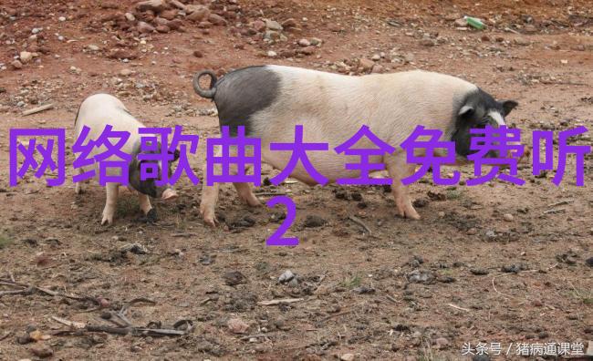文本创作时光的悄然来临