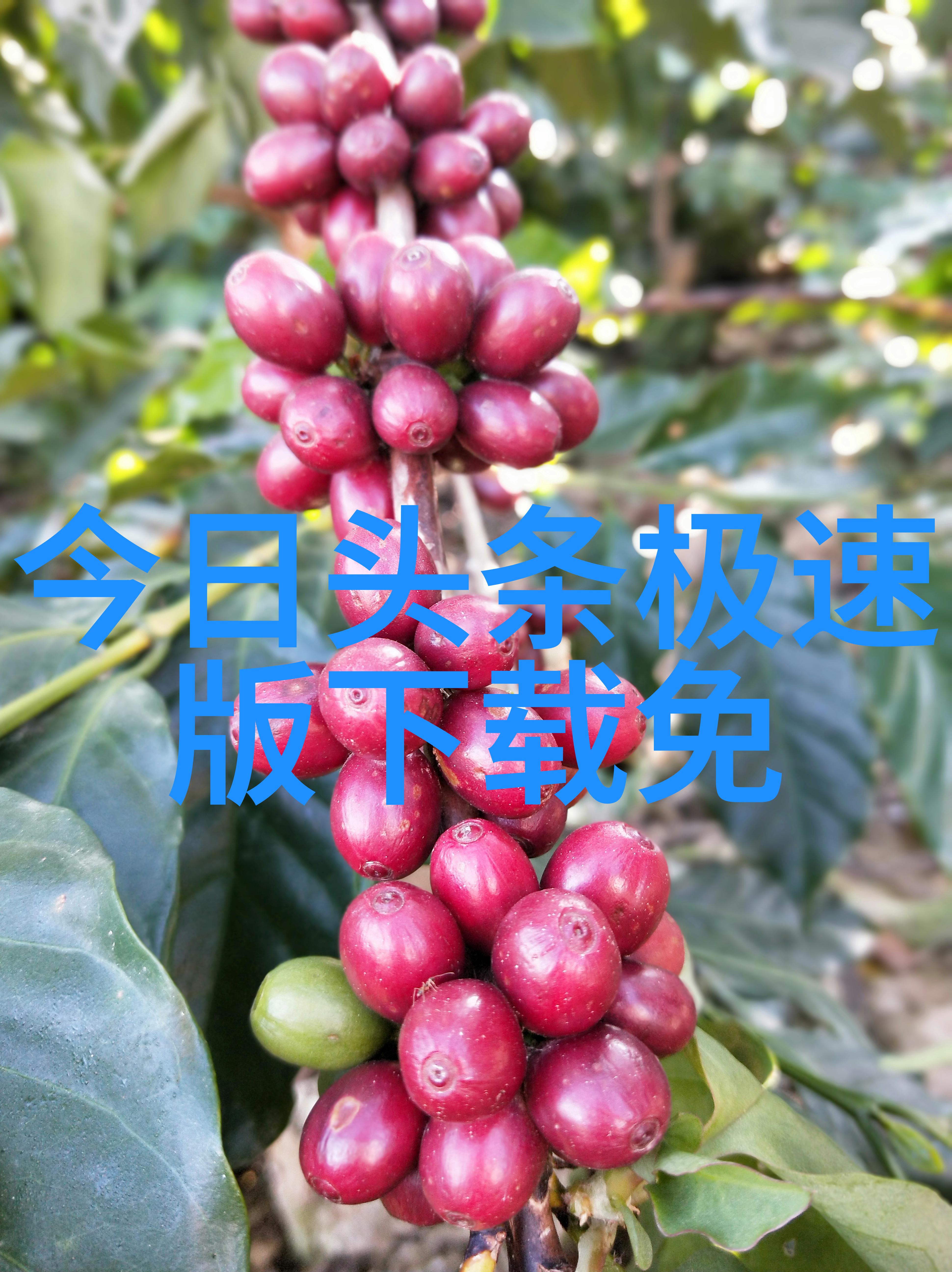 娱乐大派对探索综艺节目的魅力与变迁
