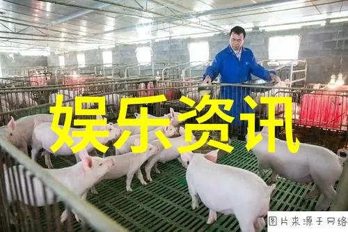 经典老歌曲500首歌名音乐宝库