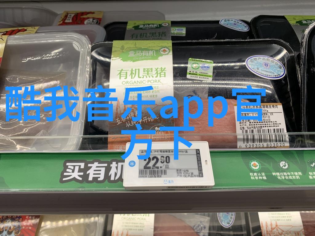 遮天遮地隐形现形奇门遁甲中的阴阳平衡之道