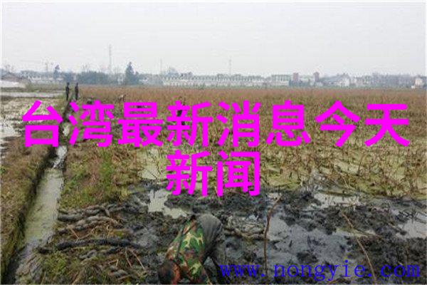 电影院在手如何打造一款高效的影视应用