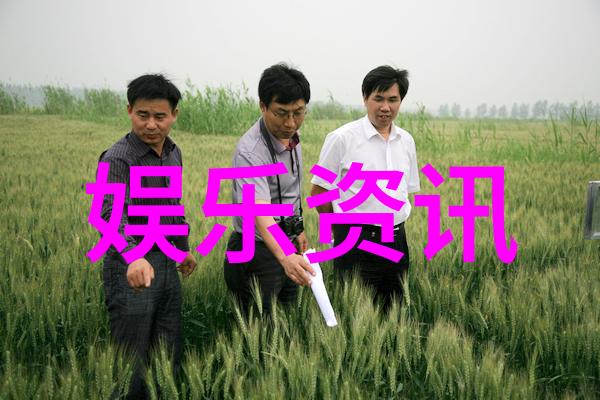 八卦的迷人魅力揭秘流行文化中的传播之谜