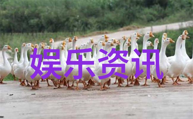 网红大美丽我的时尚灵感之源