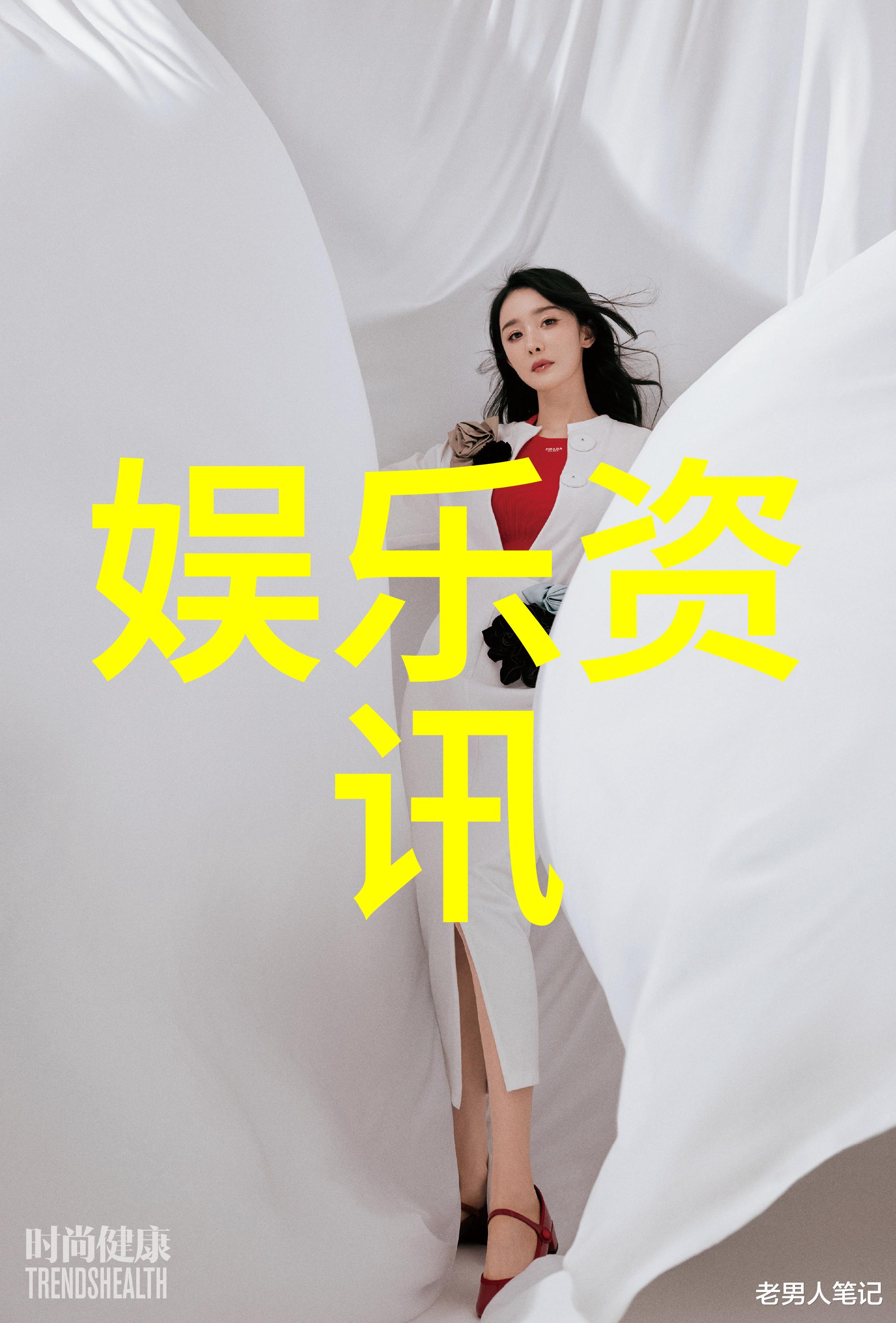 成人电影色情片与社会道德的边界探索