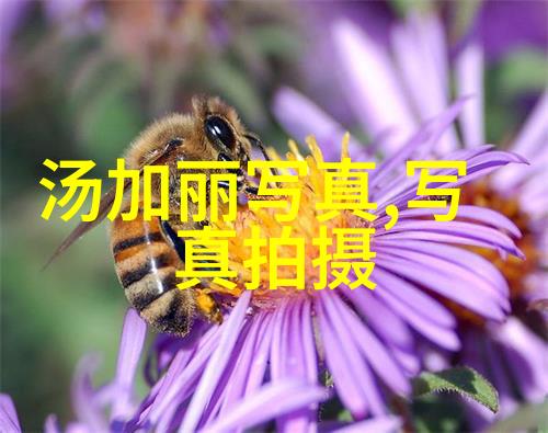 电视剧全集探索影视世界的无尽宝库