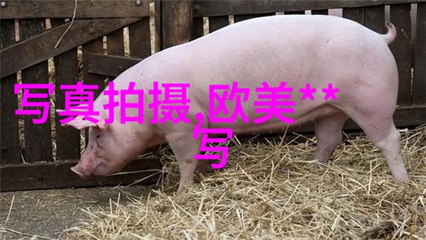 网红雪梨儿子有点傻逆袭的可爱王子