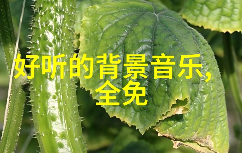 火箭少女101粉丝俱乐部热爱与支持火箭少女101的粉丝团体