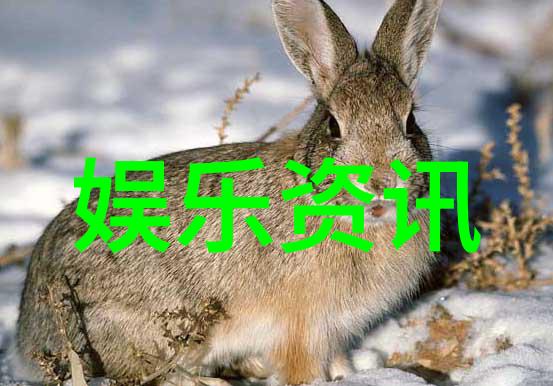 俄罗斯答应归还中国领土-边界和解俄中关系新篇章中的土地归属