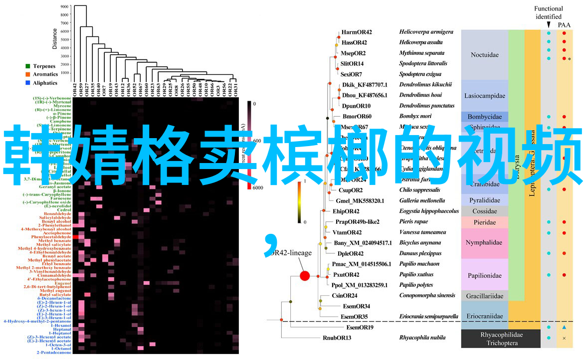 如何让我们的美好生活综艺免费观看成为每个家庭的必看盛宴