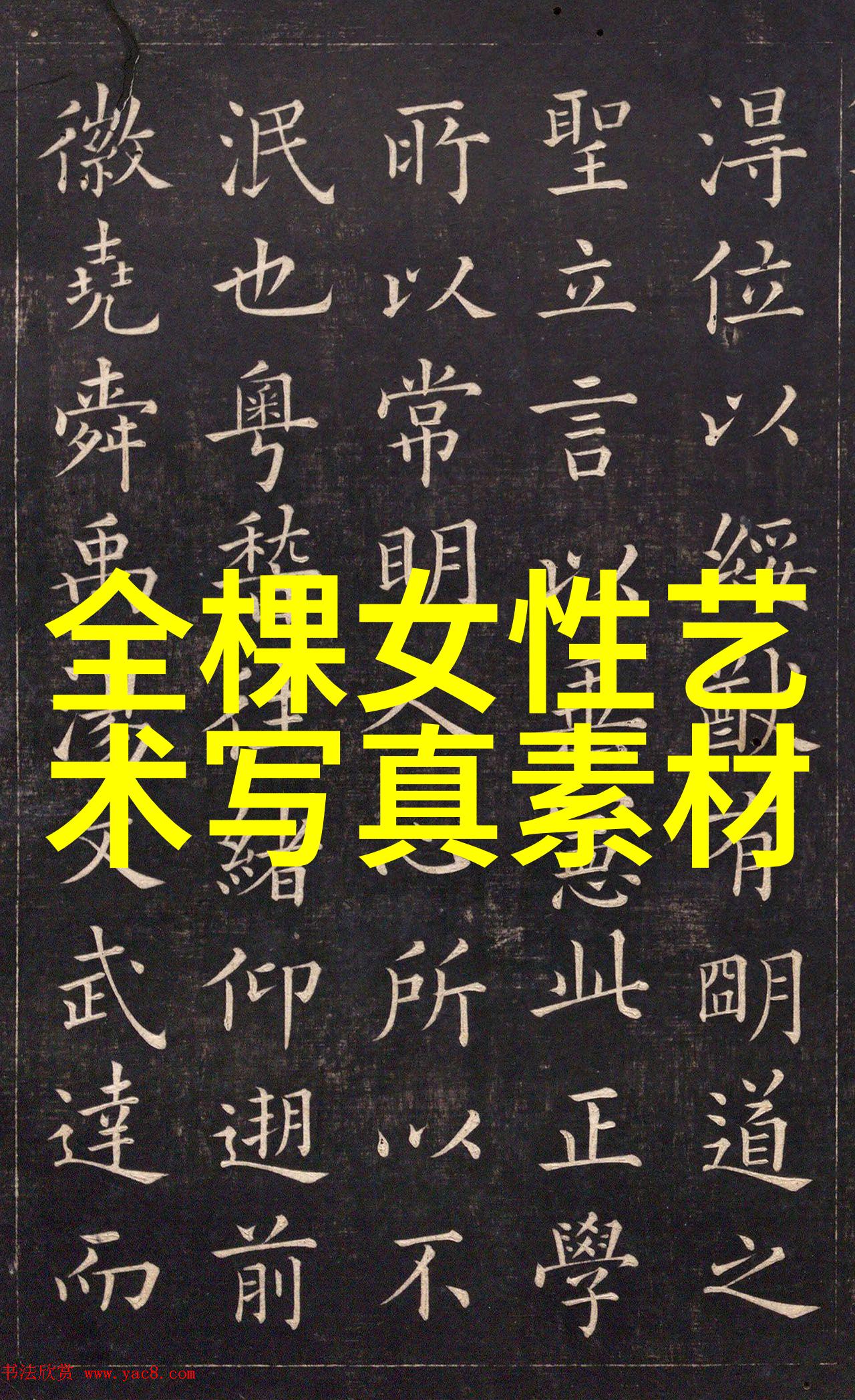 2021最新图片大全时光镜头的美妙篇章