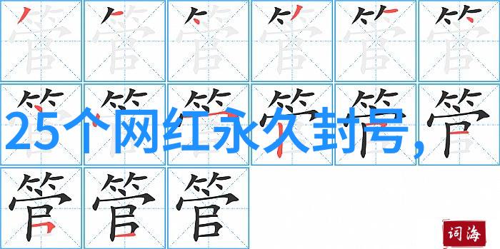 智能摄像头的革命性应用如何让生活更便捷