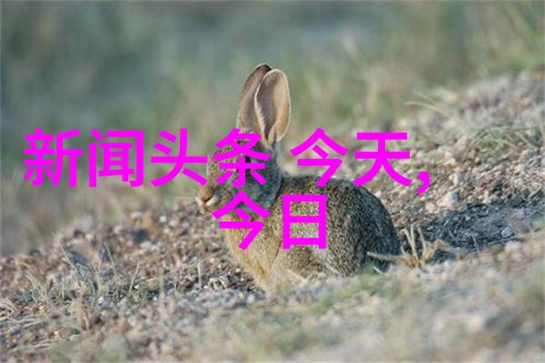 网易云音乐下载安装轻松获取高品质音乐播放器