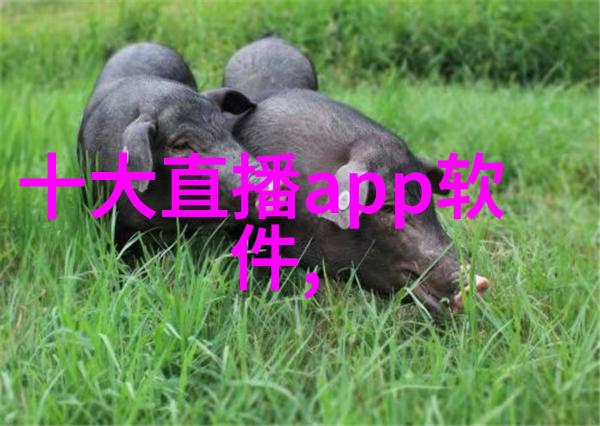 轻音乐大全免费听从悠扬到搞笑耳畔乐趣尽在此