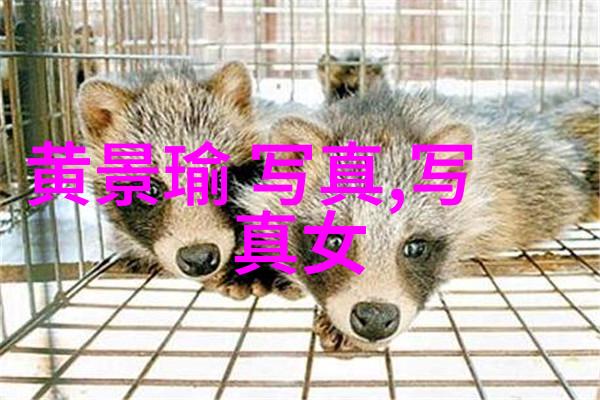 天美影视传媒有限公司免费服务有哪些限制