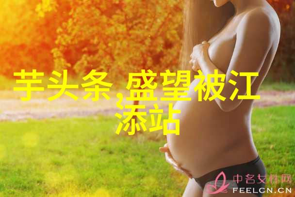 影幕边缘的秘密消失者的故事