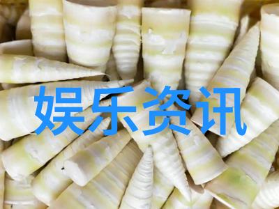 娱乐圈-台湾综艺风尚从我爱黑人秀到国光帮主的演变与影响