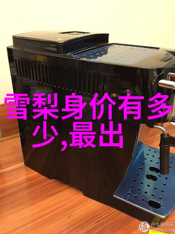 善良的小姨子电影中温馨家庭关系的探究
