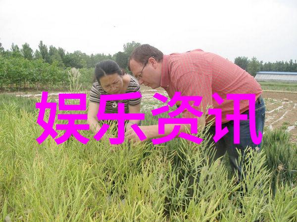 开车最能激发心情的DJ歌曲是哪一首