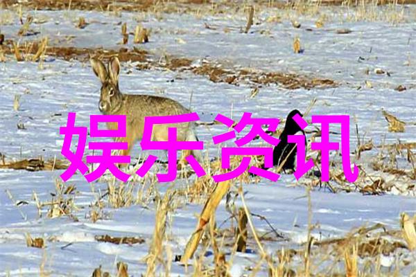 追忆90后樱花童年回忆录
