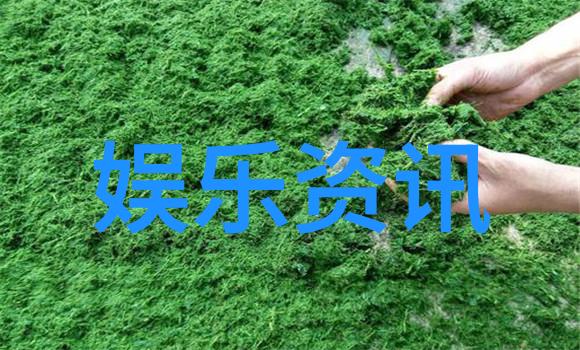 东方日报头版头条广州高铁新线开通标志性工程完工预计年底投入运营