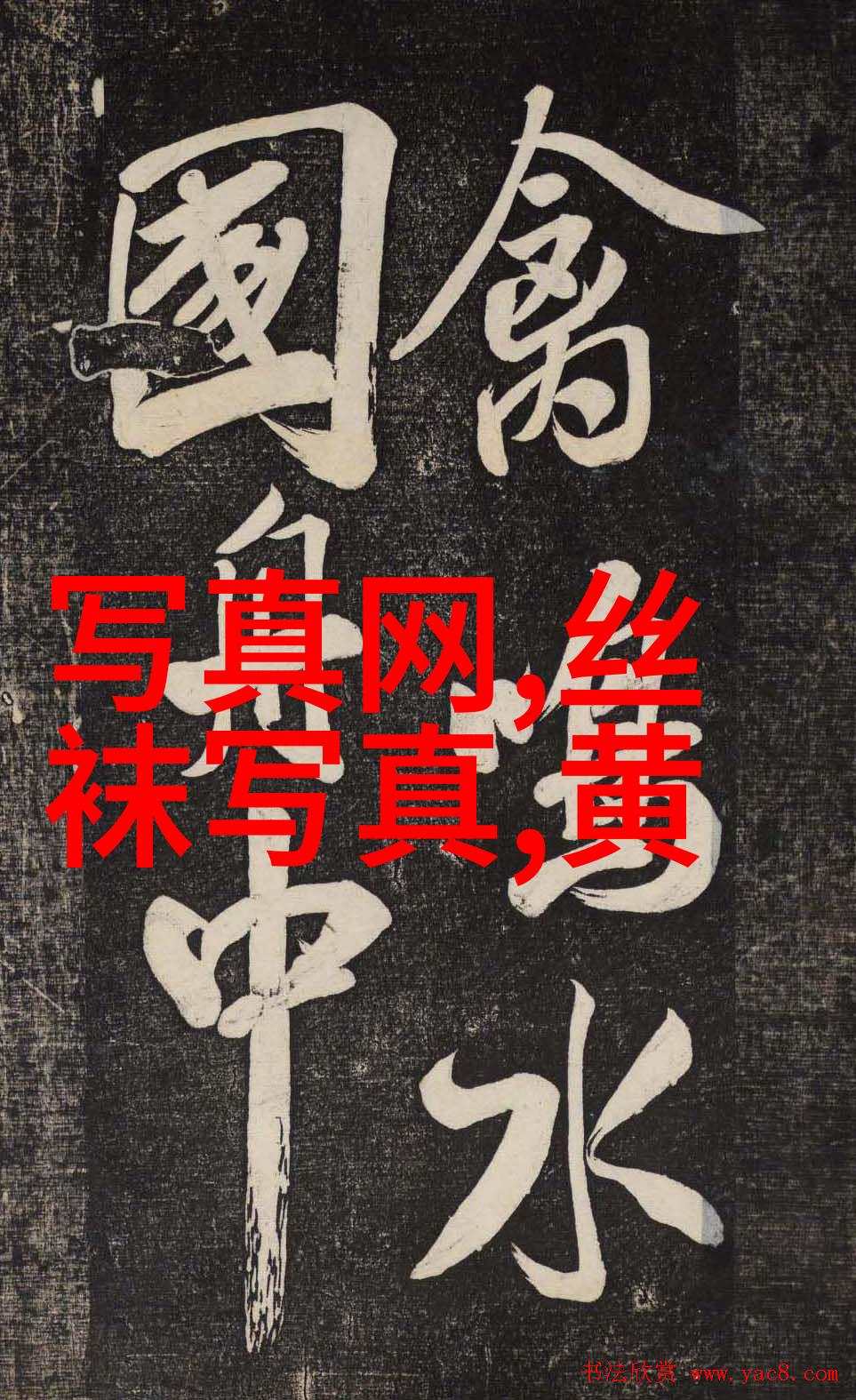 粉丝头条明星私生活大揭秘竟然是他们的宠物在暗地里操作社交媒体