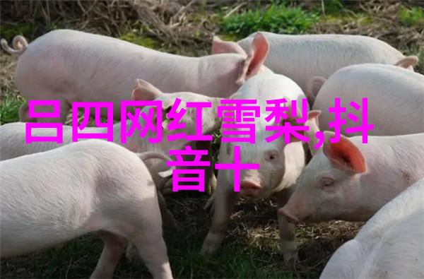河南大饥荒的悲剧1942年的灾难与人民的英勇抗争