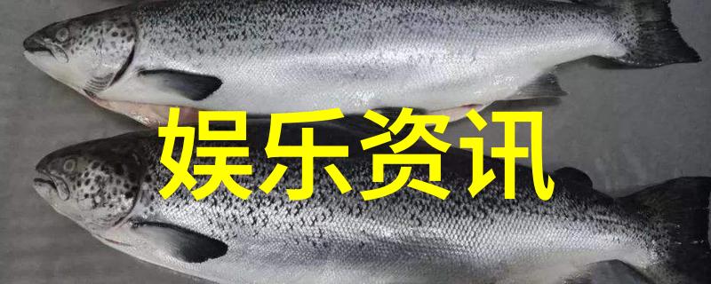 红尘盛宴中的逆袭从失恋到娱乐圈的火爆新星