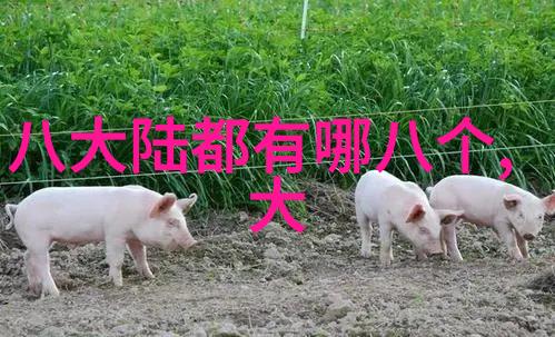 洪武三十二 电视剧 - 重塑历史探索洪武三十二电视剧中的帝王之路