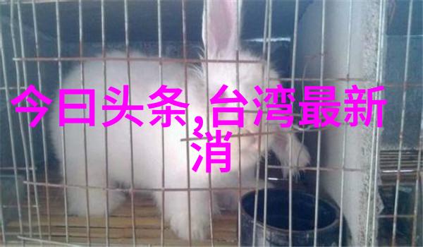 全棵女性艺术写真素材我眼中的女神穿越画卷的柔美与力量
