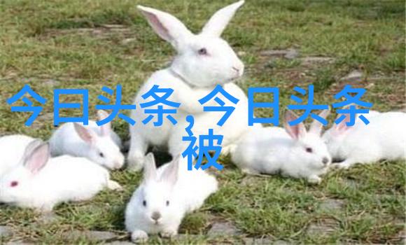 电网安全稳定性考验高压线路维护加强
