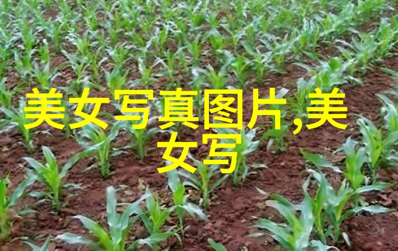古老的海洋与今朝的地形大陆漂移对历史的影响