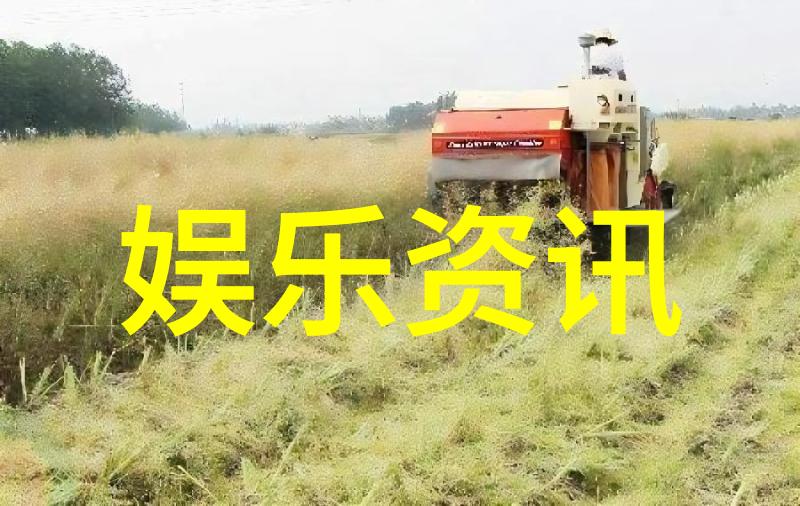 深情旋律十首让人心动的歌曲经典