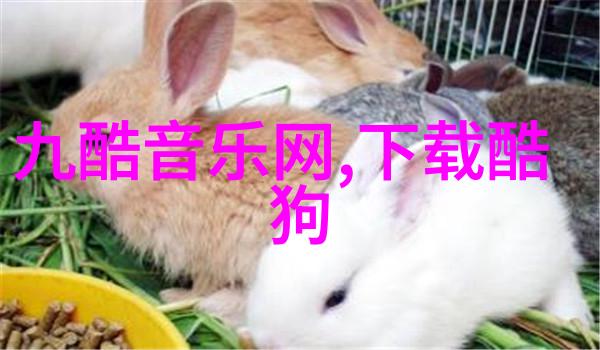 失去的微博Blase湾湾的故事