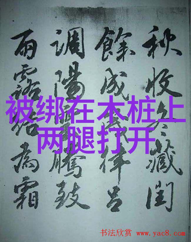 镜头背后的真相写真视频的反差