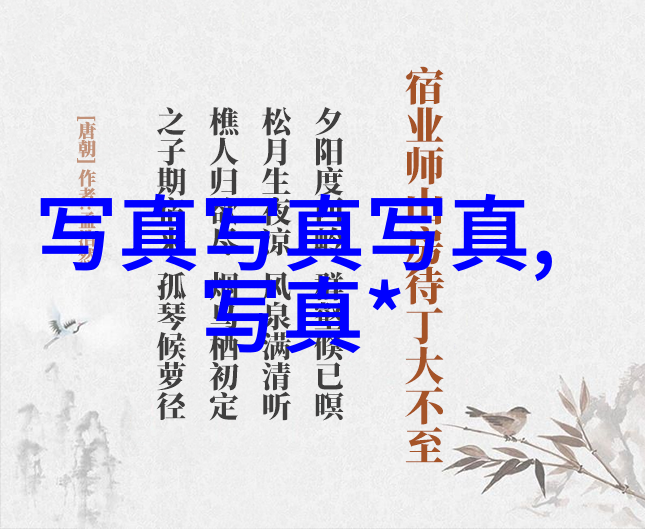 头条号新闻报道的数字化转型与信息传播机制研究