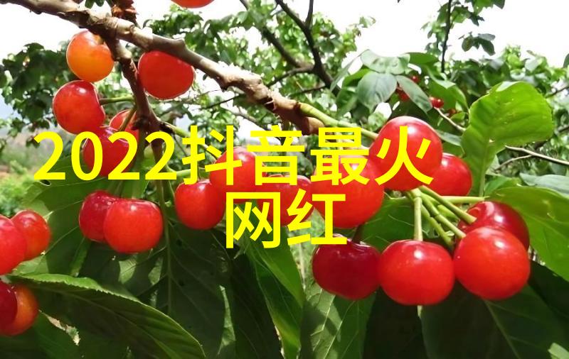 WRITEAS红酒塞高端葡萄酒的浪漫盛宴