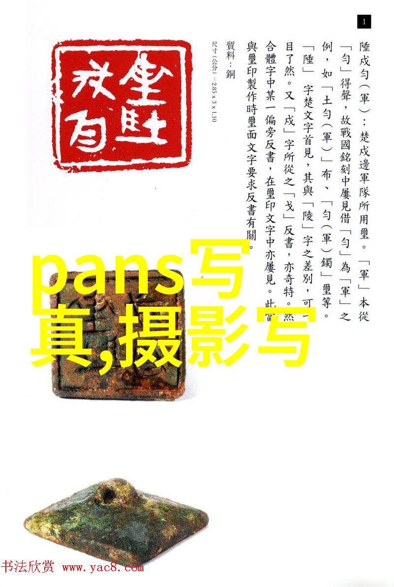 娱乐圈的演技之星背后的付出与闪耀舞台