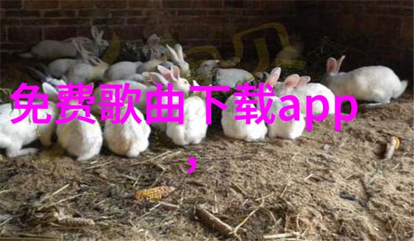 逆袭之美从荒凉到绚烂的画卷