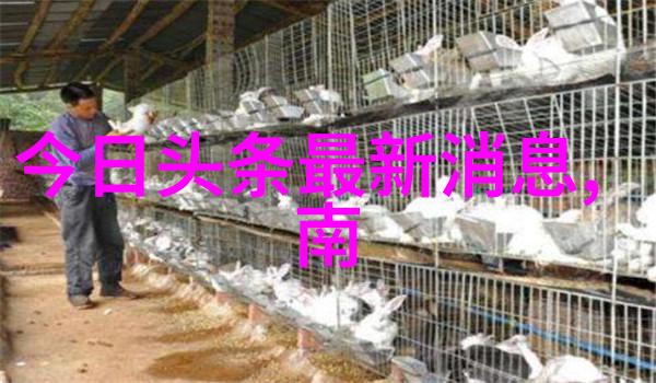 探索生命之源八卦五线与个人特质